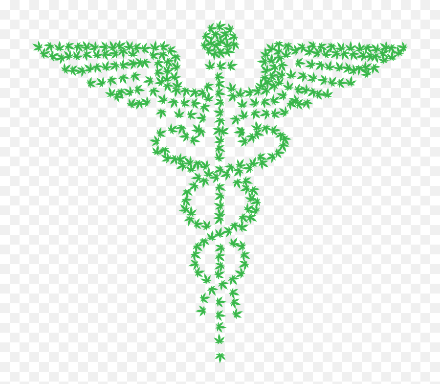 Plantleafsymbol Png Clipart - Royalty Free Svg Png Emoji,Medical Marijuana Symbols And Emojis