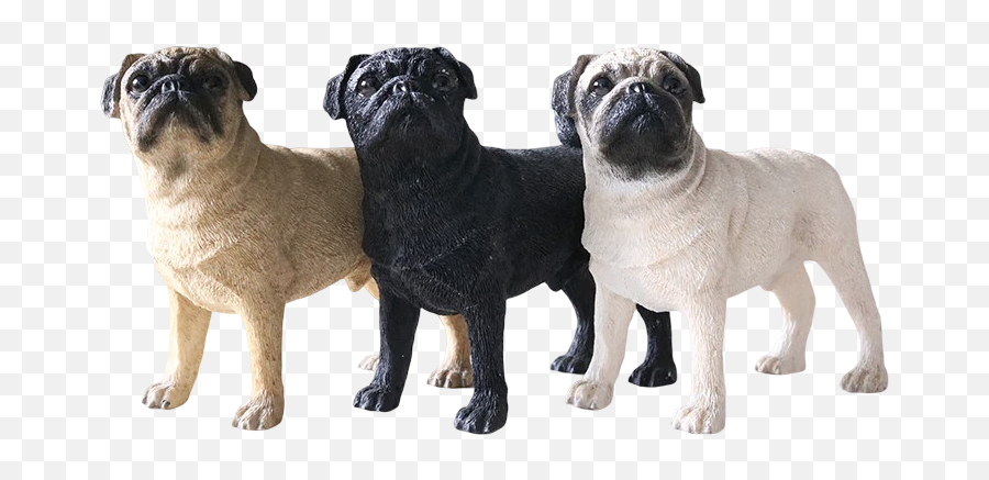 Pug Crazy - Figura De Pug Emoji,Pug Dog Emoticons