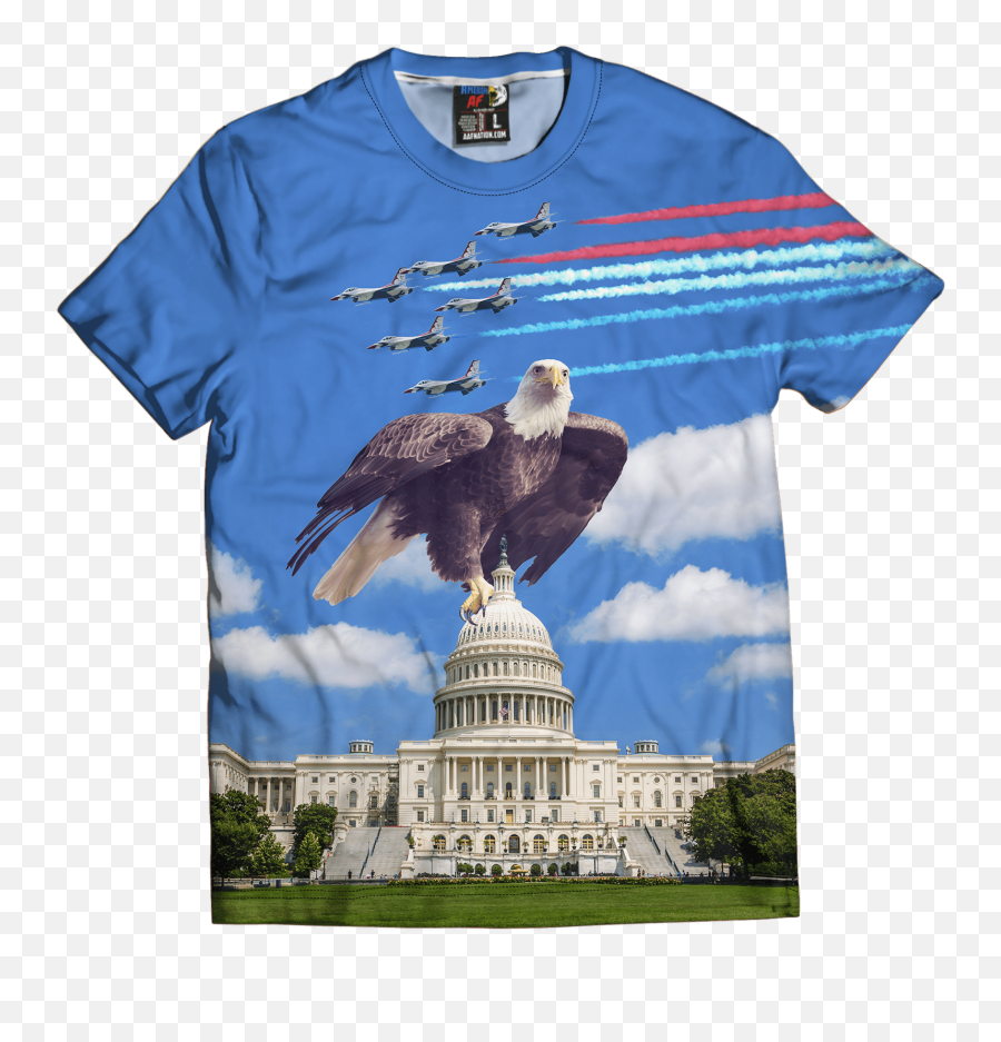 Httpswwwaafnationcom Daily Httpswwwaafnationcom - Capitol Emoji,Bald Eagle Emoji