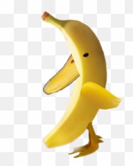Banana Sticker Meme - Ripe Banana Emoji,Banana Peel Emoticon