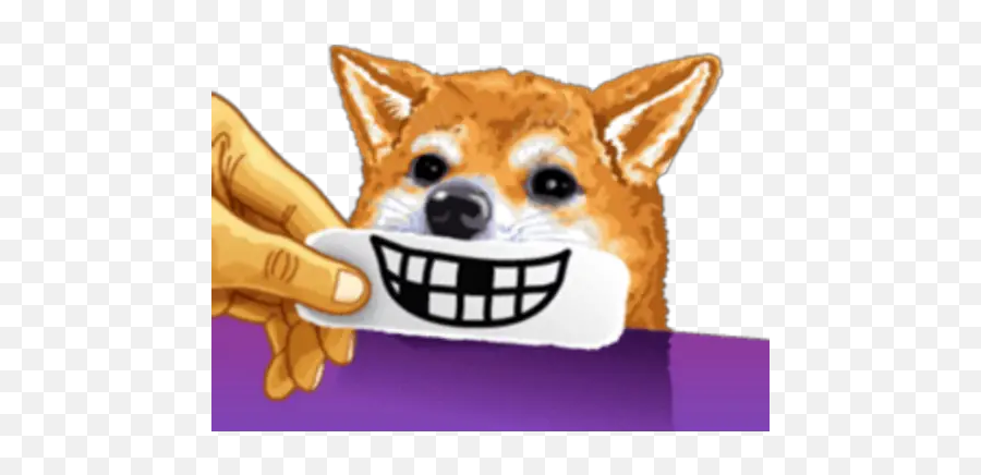 Dog Expressions Stickers For Whatsapp - Happy Emoji,Bye Dog Emoji