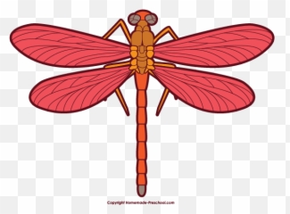 Free Dragonfly Clipart 2 - Clip Art Dragonfly Emoji,Dragonfly Emoji