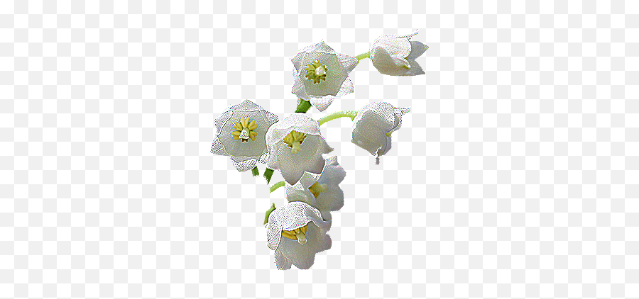 Flowers Gif Beautiful Flowers Flowers - Soft Emoji,Maoi Emoji