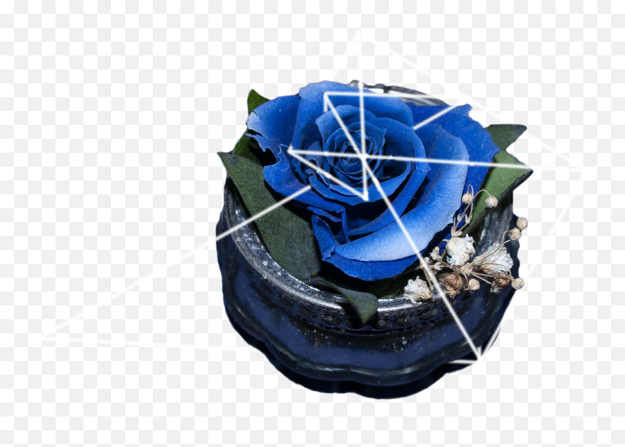 To Read Or Not To Read - Rose Emoji,Blue Emotion Rose