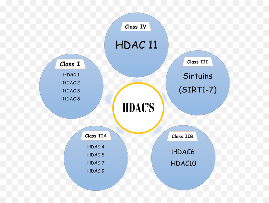 Alzheimers Disease - Hdac8 Alzheimer Disease Emoji,Therapy Be Emotion Gama Usa