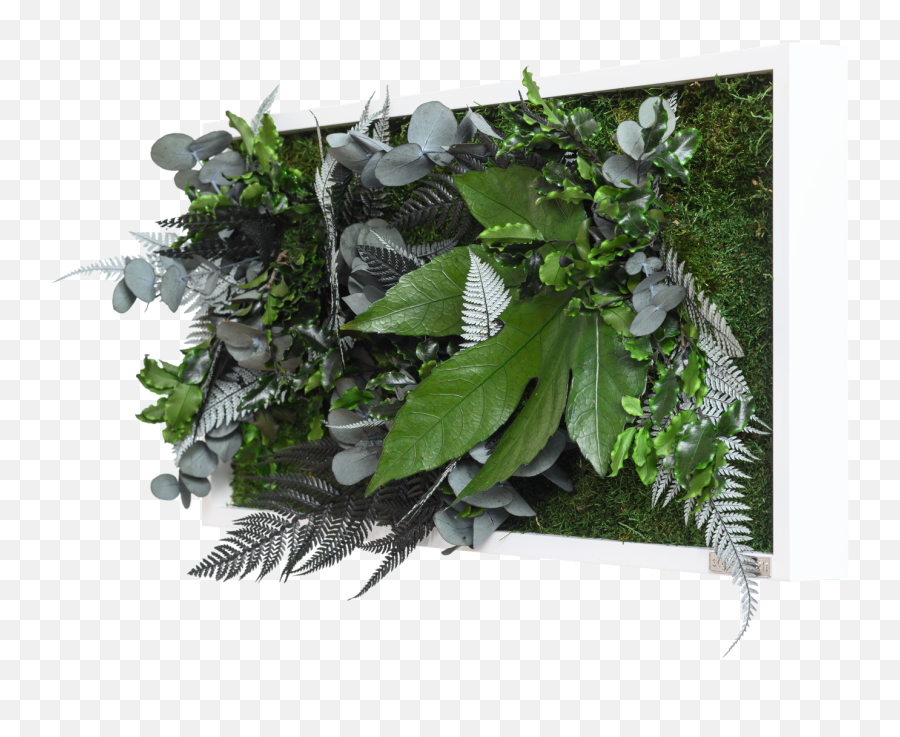 Jungle Rectangular Plant And Moss Wall - Twig Emoji,Plants Emotions Art