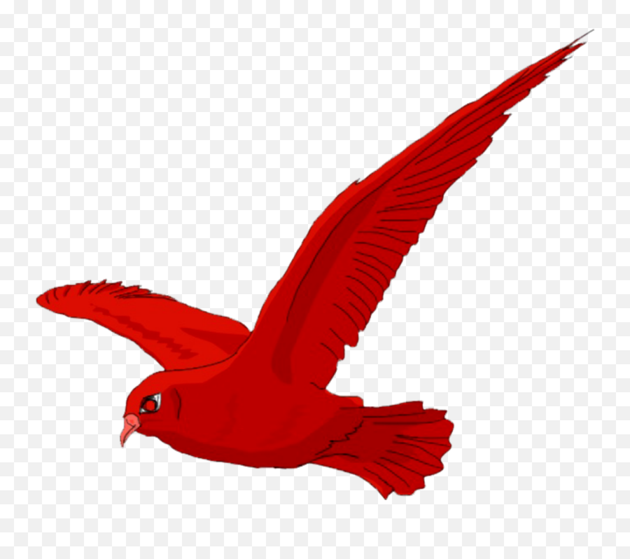 Mq Red Birds Bird Fly Sticker - Songbirds Emoji,Red Bird Emoji