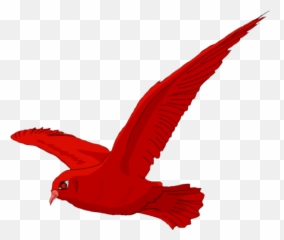 Mq Red Birds Bird Fly Sticker - Songbirds Emoji,Red Bird Emoji