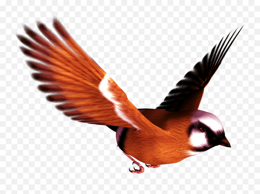 Bird Png - Birds Png Transparent Cartoon Jingfm Single Flying Birds Png Emoji,Flying Bird Emoji