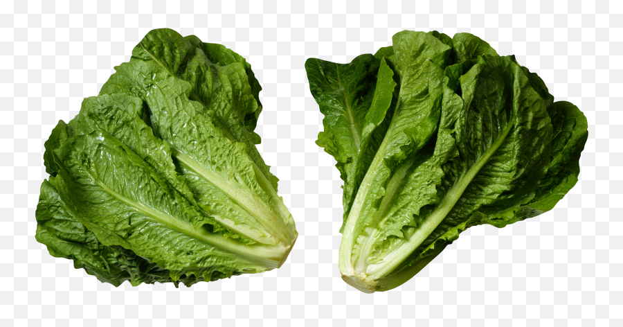 Lettuce Clipart Green Foods Lettuce - Romaine Lettuce Transparent Gif Emoji,Lettuce Emoji