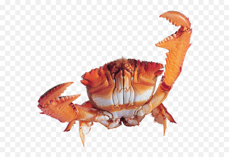 Crab Png Images - Crab Png Emoji,Crab Emoticon
