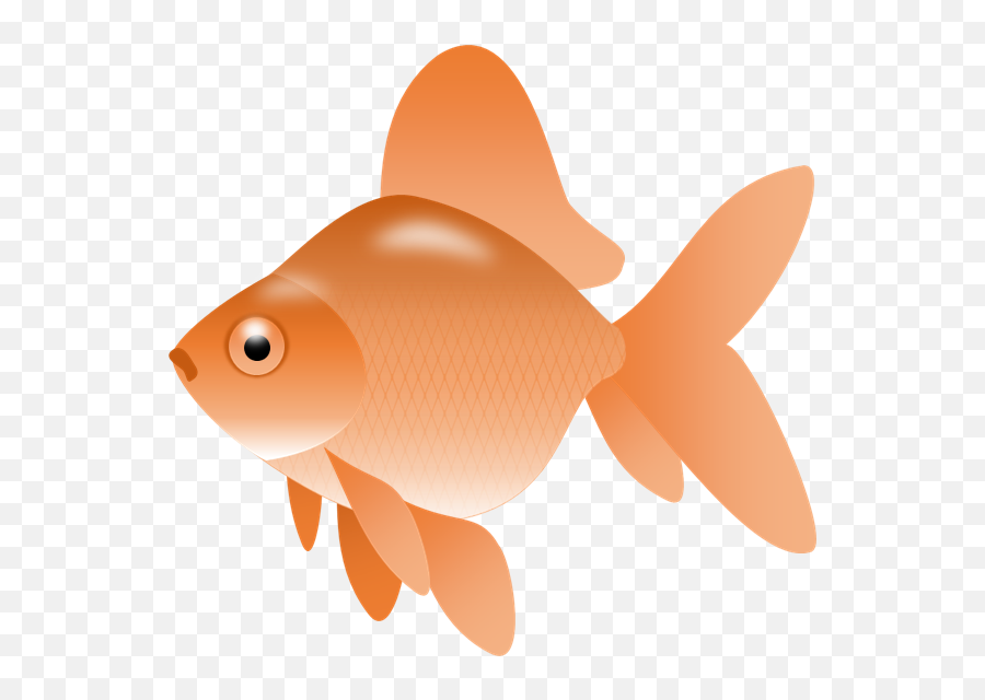 Fish Clip Art Png Transparent - Clip Art Transparent Fish Emoji,Gold Fish Emoji