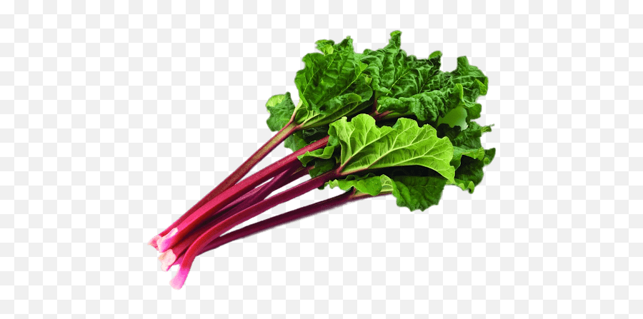 Largest Collection Of Free - Toedit Vegetais Stickers Rhubarb Png Transparent Emoji,Beet Emoji