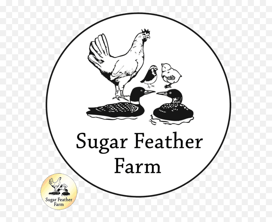 Heritage Meat Sugar Feather Farm Emoji,Cornish Cross Chicken Emotions