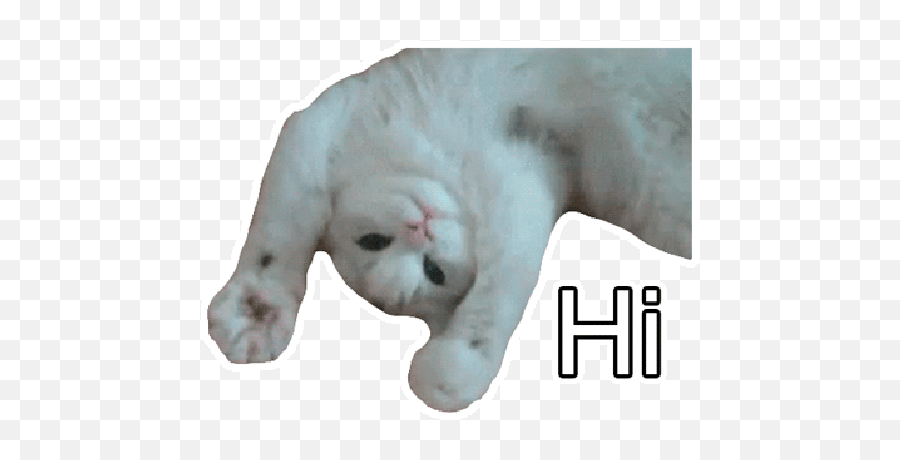 Meryyyyy - Cat Gifs Emoji,Scottish Emoji