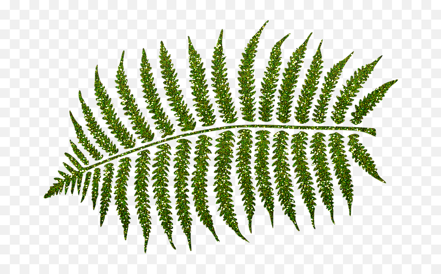 200 Free Greenery U0026 Nature Illustrations - Pixabay Vertical Emoji,Emojis Relating To Fern