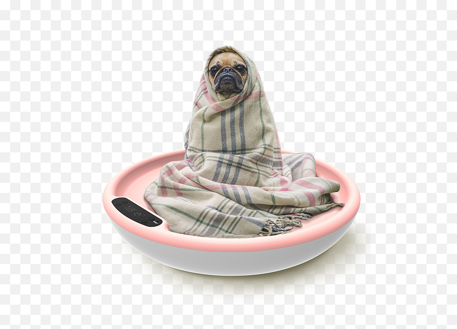 Pogme - Dog Bed Emoji,Huffing Emoticon