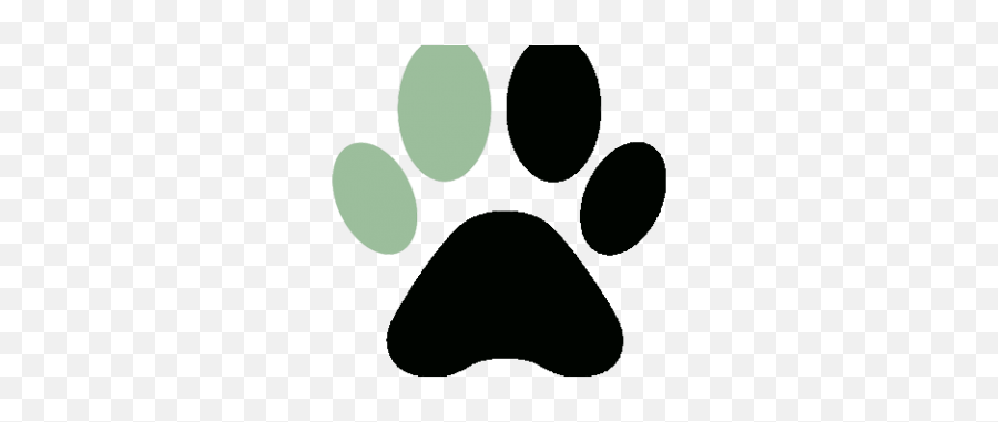 Caucasian Ovcharka Dog Breeders In Vermont Emoji,Caucasian Mountain Shepherd Puppy Emoticon