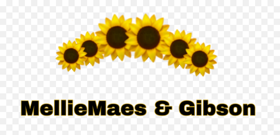 Melliemaes U0026 Gibson - Handmade With Love Aesthetic Sunflower With Transparent Background Emoji,Emojis Sunflower