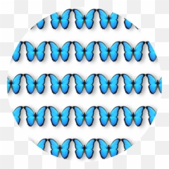 Butterfly Background Blue Sticker - Blue Butterfly Wallpaper Emoji,Blue Circle Emoji