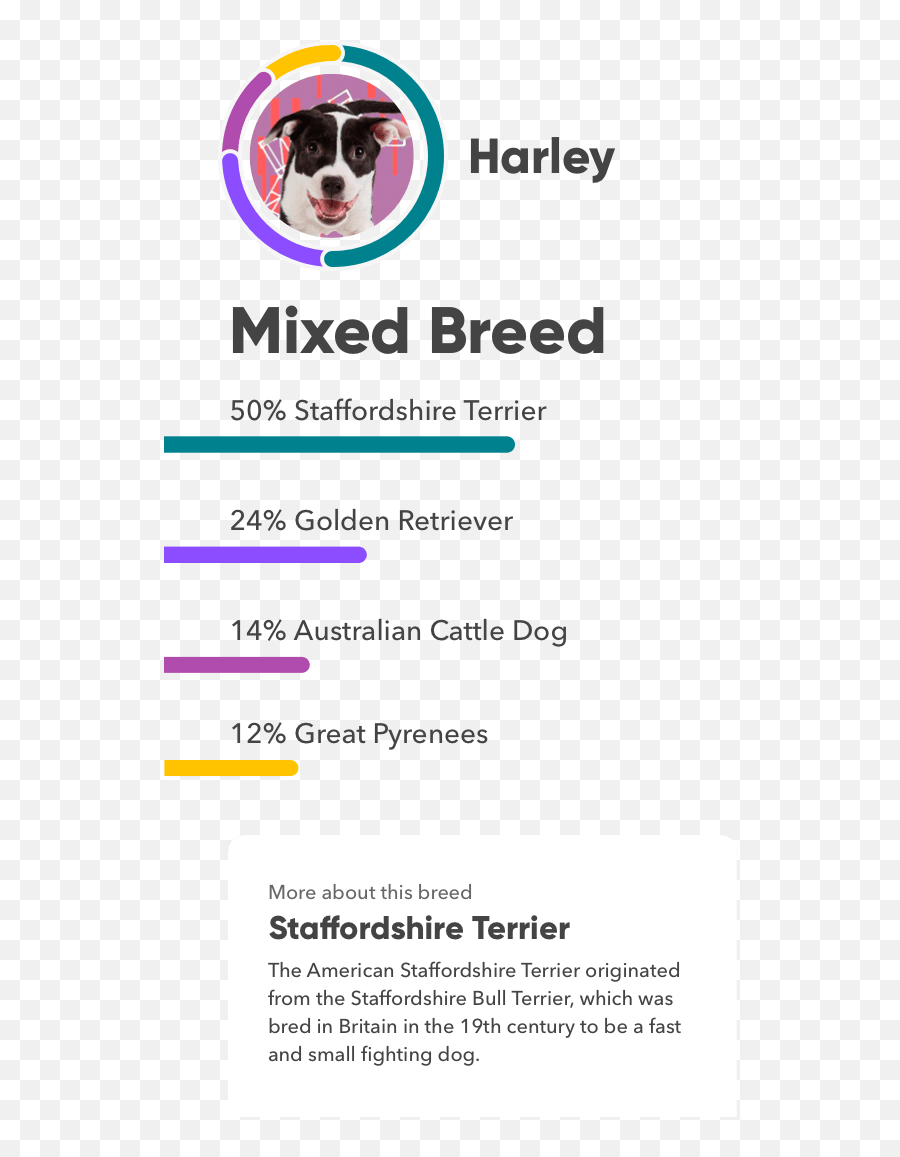 Embark Dog Dna Test Most Accurate U0026 Highest Reviewed Dog Emoji,Animal Life Cycle Emotion Code