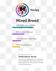 Embark Dog Dna Test Most Accurate U0026 Highest Reviewed Dog Emoji,Animal Life Cycle Emotion Code