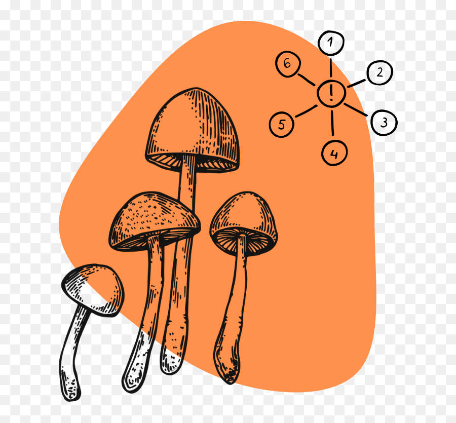 4 - Acodmt The Ultimate Guide To Synthetic Shrooms Tripsitter Emoji,Entropy Magic And Emotions