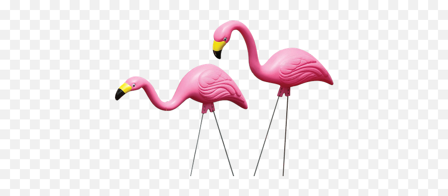 Ali Al - Hasnawi Emoji,Flamingo Emojis