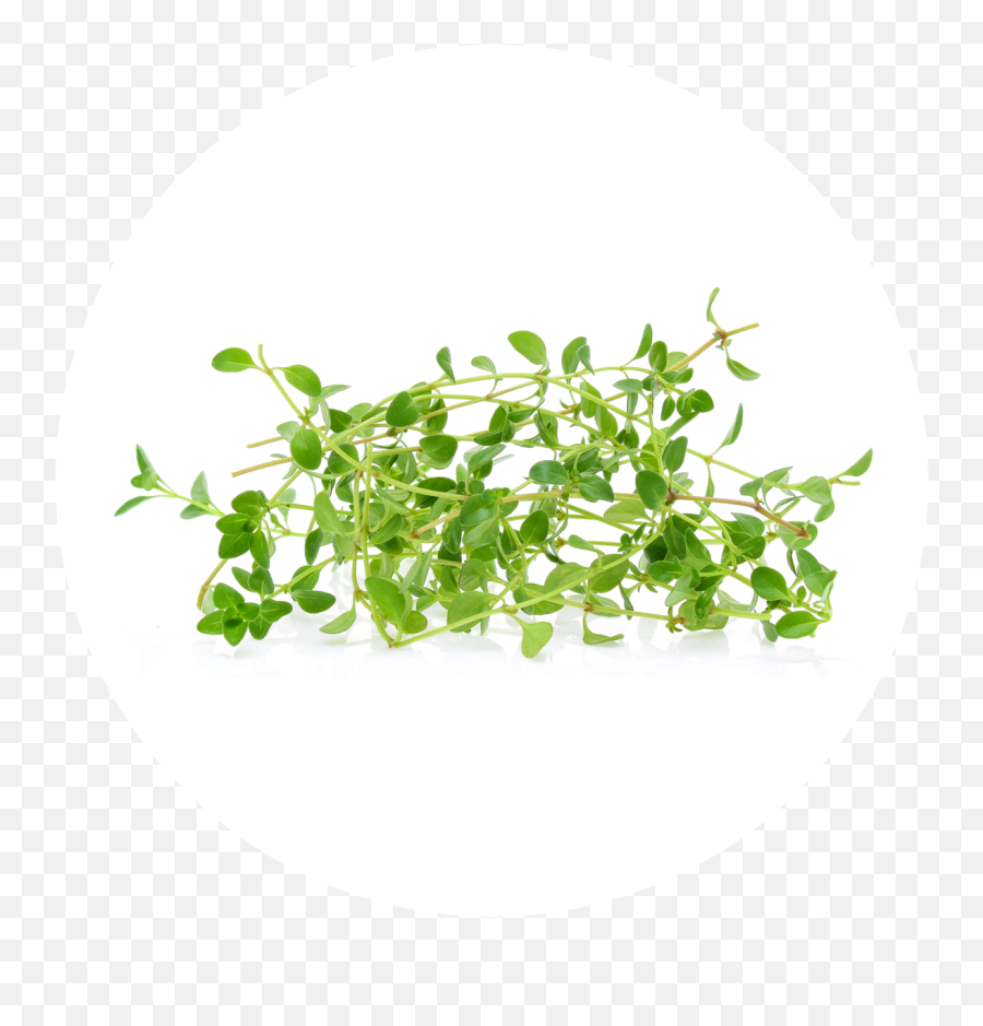 Eden Grow Tower Emoji,Beansprout Emoji