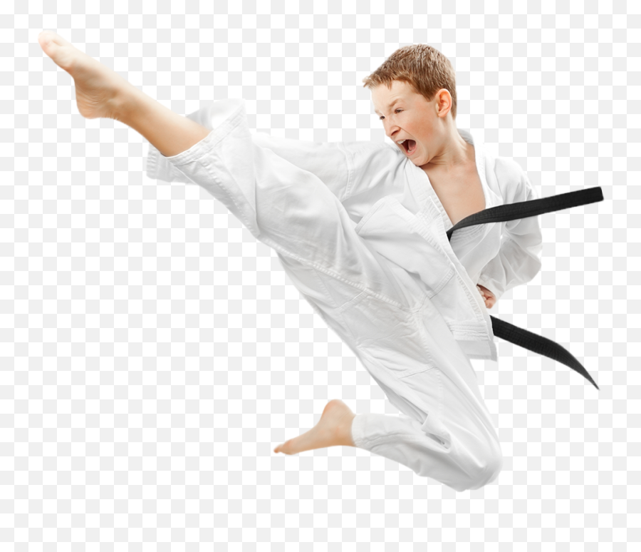 Download Karate Boy Png Image For Free Emoji,Karate Kid Emoji