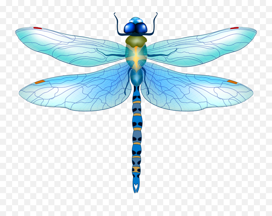 Dragonfly Sticker - Dragonfly Vector Png Emoji,Dragonfly Emoji