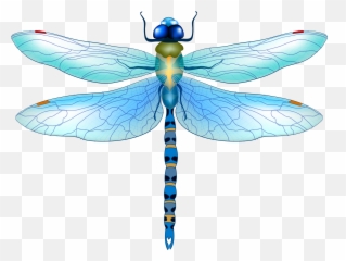 Dragonfly Sticker - Dragonfly Vector Png Emoji,Dragonfly Emoji