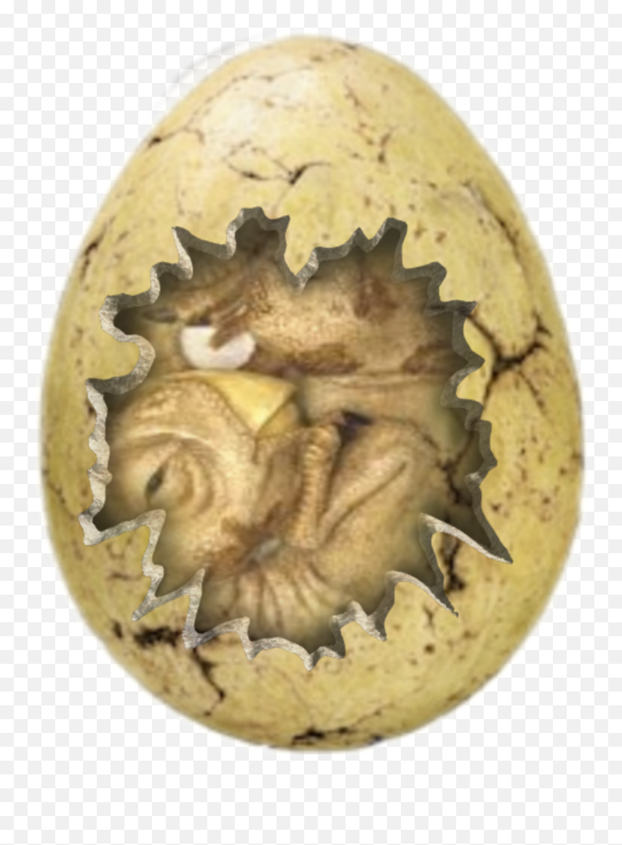 Fossil Dinosauregg Sticker Emoji,Cracked Egg Emoji