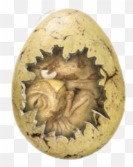Fossil Dinosauregg Sticker Emoji,Cracked Egg Emoji