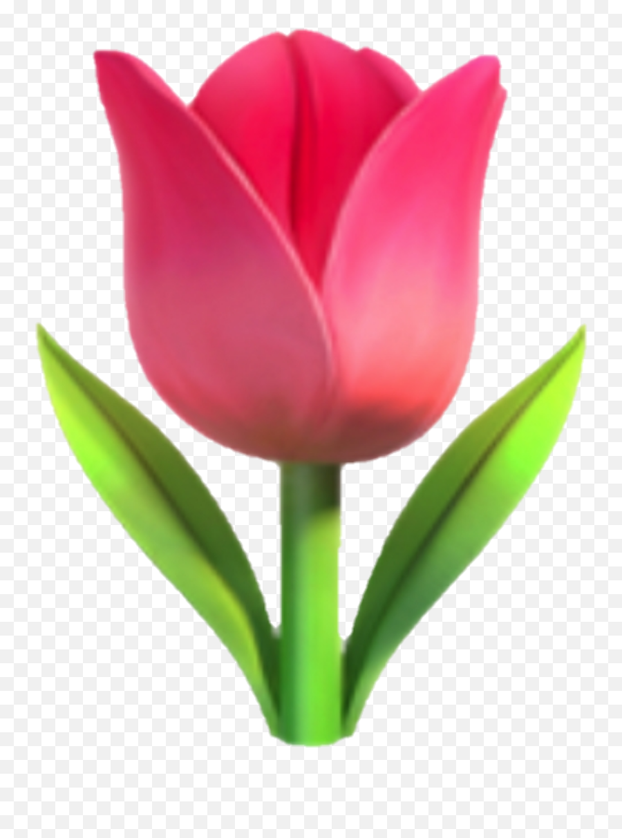 Emoji Fleur Flower Flora Rose Tulip - Tulip Emoji,Fleur Emoji