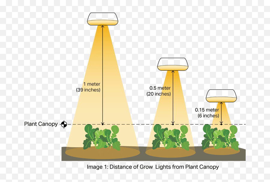 Led Grow Lights Distance For Cannabis - Led Grow Light Distance Chart Emoji,Light Emotion Par Bar Led