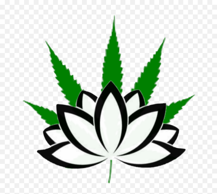 Cbd Logo Sticker By White Lotus Botanicals - Lotus Blossom Yoga Lotus Flower Emoji,Hemp Emoji