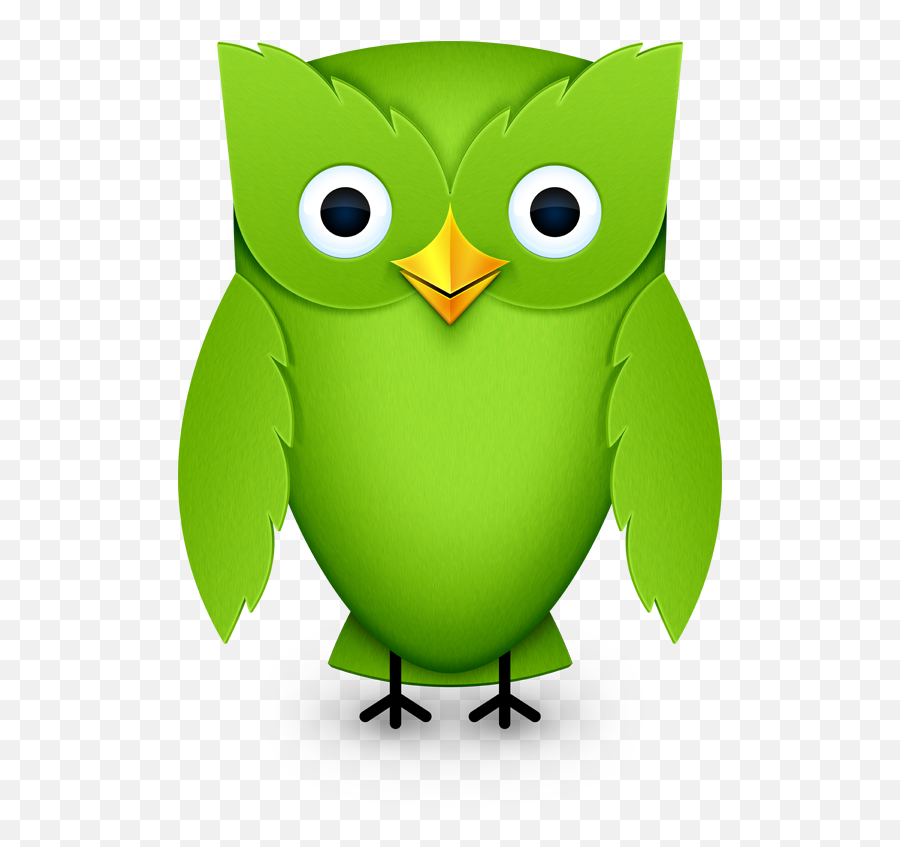 Memories - 2012 Duolingo Owl Emoji,Emotions Dress