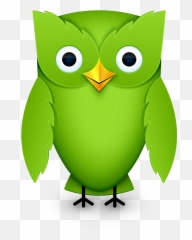 Memories - 2012 Duolingo Owl Emoji,Emotions Dress