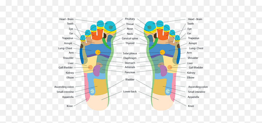 Stillpoint Reflexology Clinic - Foot Reflexology Emoji,Reflecology Chart Emotions Hands