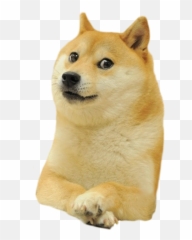 Download Shiba Deal Inu Doge It - Doge Png Transparent Emoji,Free Emoticons To Use Doge