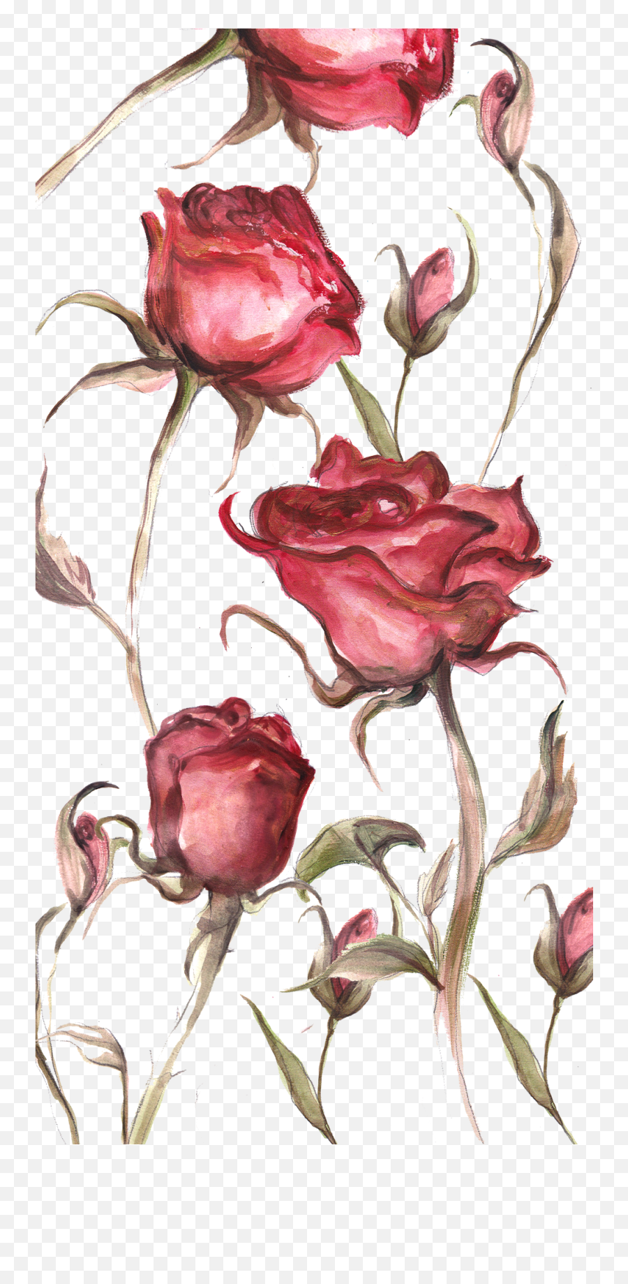 Rose Wallpaper - Lovely Emoji,Ensconced In Emoji