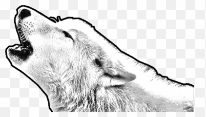Tabletop Games A Wolves Den Games - Canine Tooth Emoji,Goham Twitch Emoticon