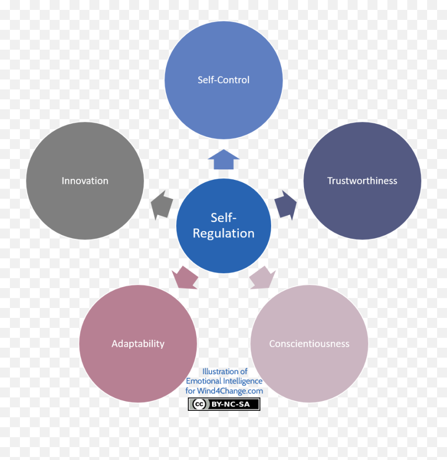 Emotional Intelligence By Daniel Goleman Self - Mastery Solvency Ratios Emoji,Miss Bahia Be Emotion