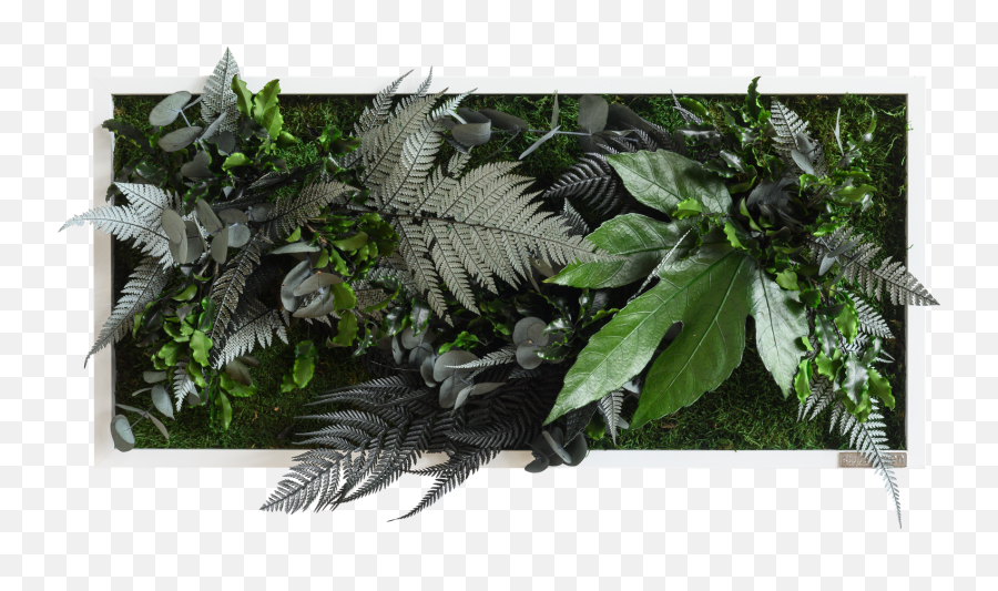 Jungle Rectangular Plant And Moss Wall - Obraz Z Rostlin Stylegreen Džungle Emoji,Plants Emotions Art