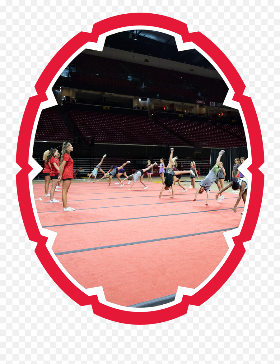 Terps Cheer Summer Camp Ages 5 - 14 U2014 University Of Emoji,Umd Testudo Emoticon