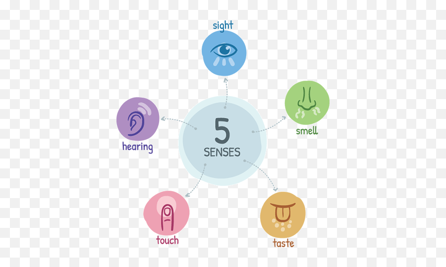 The Sentient Experiment Empath Training - Sensory Perception Emoji,Meditation Water Experiment Emotions