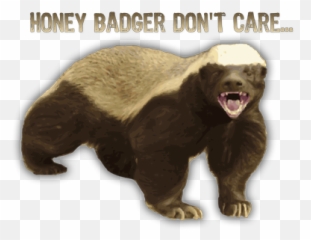 Harry Potter And The Deathly Hallows - Honey Badger Png Emoji,Japanes Emoticon Happy