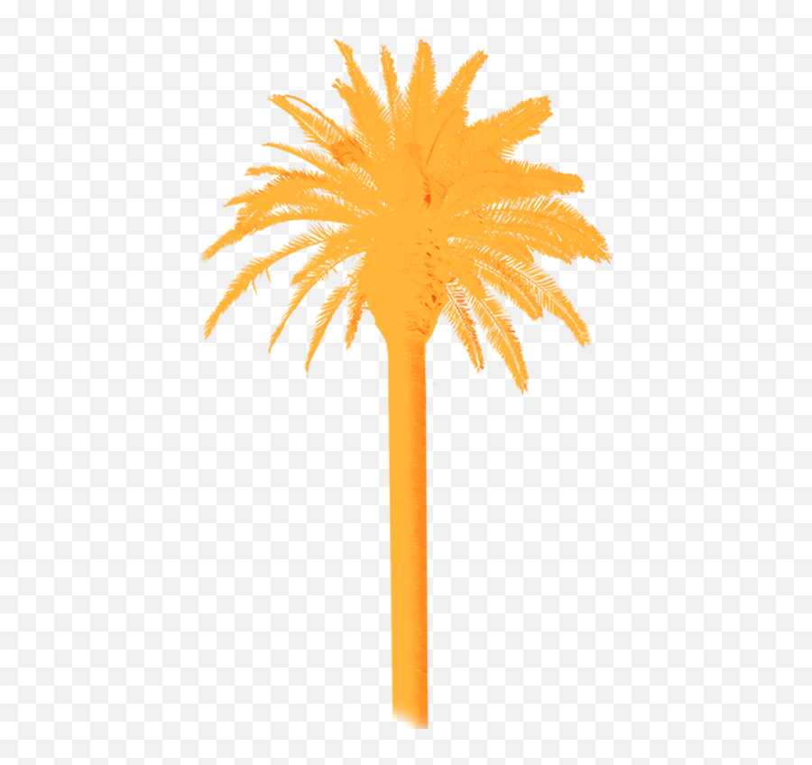 About U2014 Yacht Rock Revue - Dates Palm Tree Silhouette Emoji,What Is The Three Emojis For Margarita