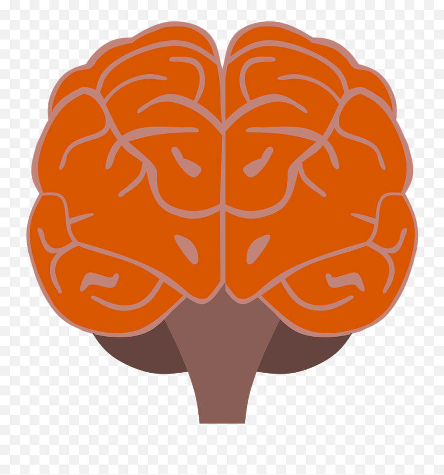 Brain Think Nerve Center - Brain Emoji,Emotion Center Of Brain